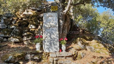 Le rose rosse deposte sulla lapide della moglie di Jerace