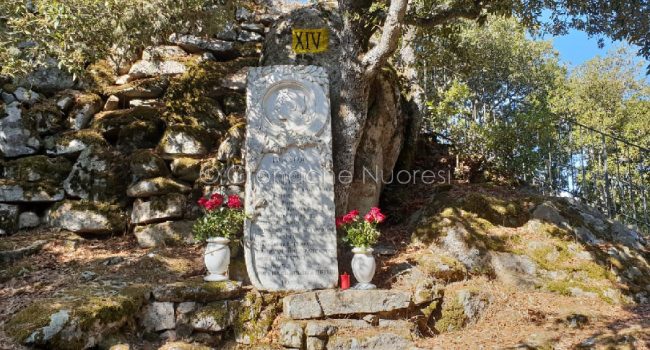 Le rose rosse deposte sulla lapide della moglie di Jerace