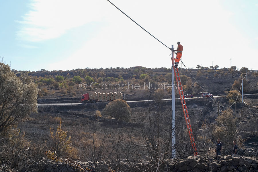 Incendi. Tra i danni da conteggiare: anche migliaia di pali della rete elettrica andati in cenere