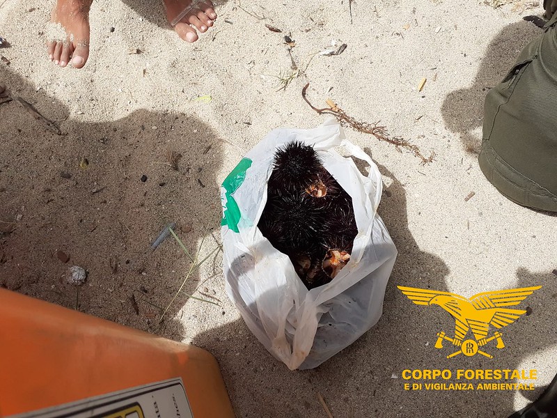 Dorgali. Beccati a mangiare ricci pescati a Cala Cartoe e sanzionati
