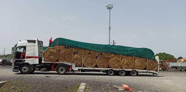 Il foraggio donato dalla Croce Rossa