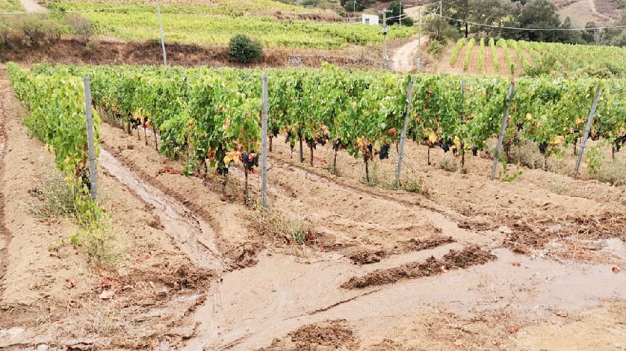 Mamoiada. Rottura della condotta di Janna ‘e Ferru: ennesima denuncia del sindaco