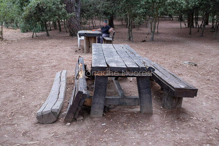 Nuoro: Nella pineta di Ugolio tavoli e panchine in legno scomparsi o completamente marci e in malora