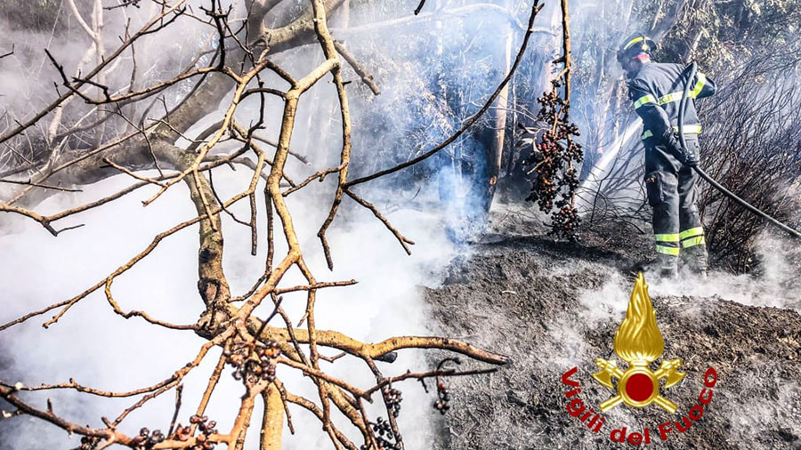 Incendio a Cuglieri: salva un’azienda agricola, distrutte varie attrezzature – VIDEO