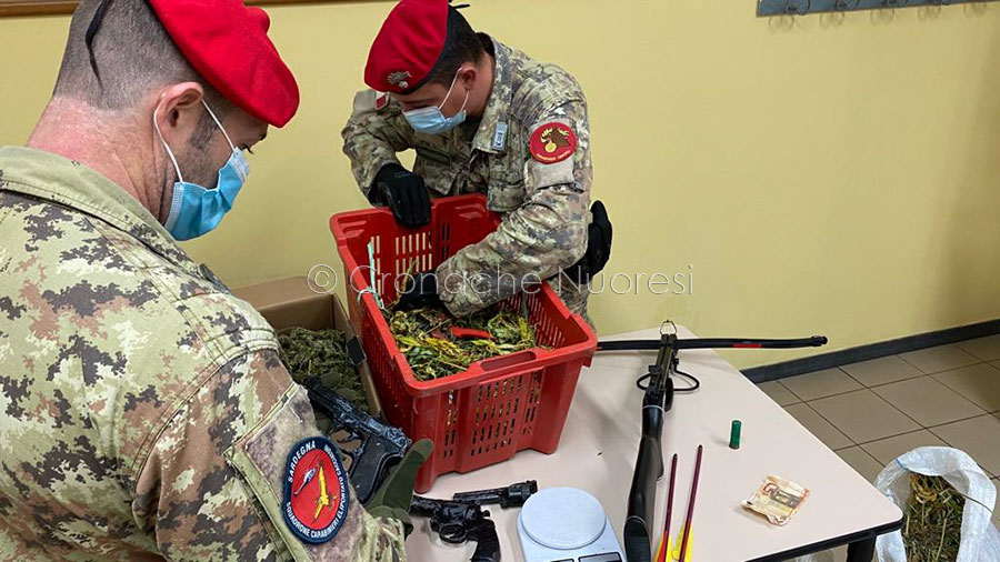 Marijuana, balestra, pistole e munizioni: nei guai un 23enne