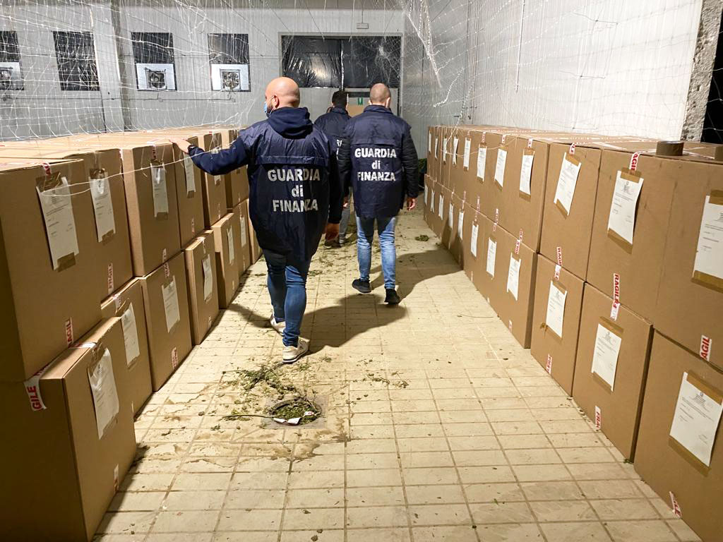 Bolotana. Blitz in un capannone: le fiamme Gialle sequestrano oltre una tonnellata di infiorescenze di canapa