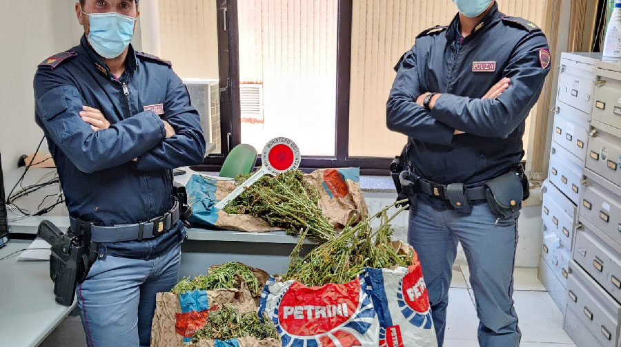 Nuoro. 23 chili di marijuana nel cassone del fuoristrada: arrestati due allevatori