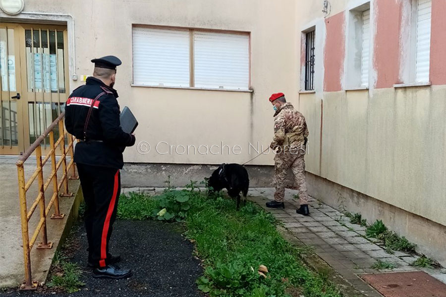 Blitz antidroga dei Carabinieri nelle scuole: nessuno stupefacente rinvenuto