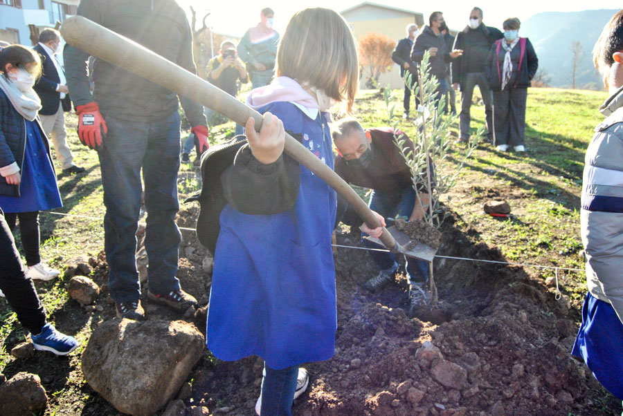 Da Cuglieri una risposta concreta  per i territori del Montiferru devastati dagli incendi