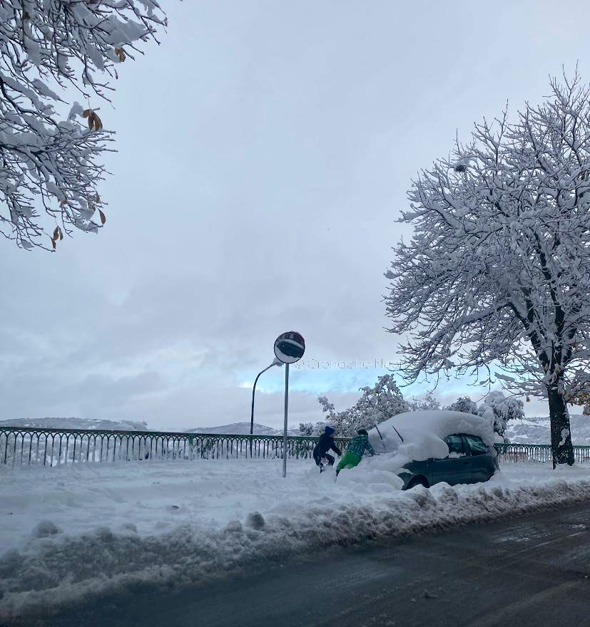 Maltempo. La neve crea disagi agli allevatori e ai paesi montani: blackout di 24 ore