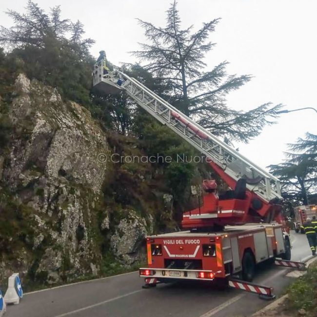 L'intervento dei Vigili del fuoco sulla strada per l'Ortobene