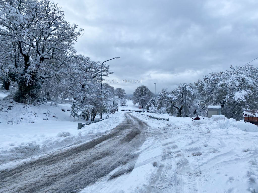 Nevica nel Nuorese. Disagi sulle strade: circolazione interdetta ai mezzi pesanti sulla 389