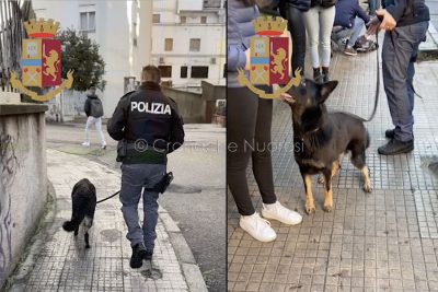 Controlli antidroga nelle scuole di Nuoro