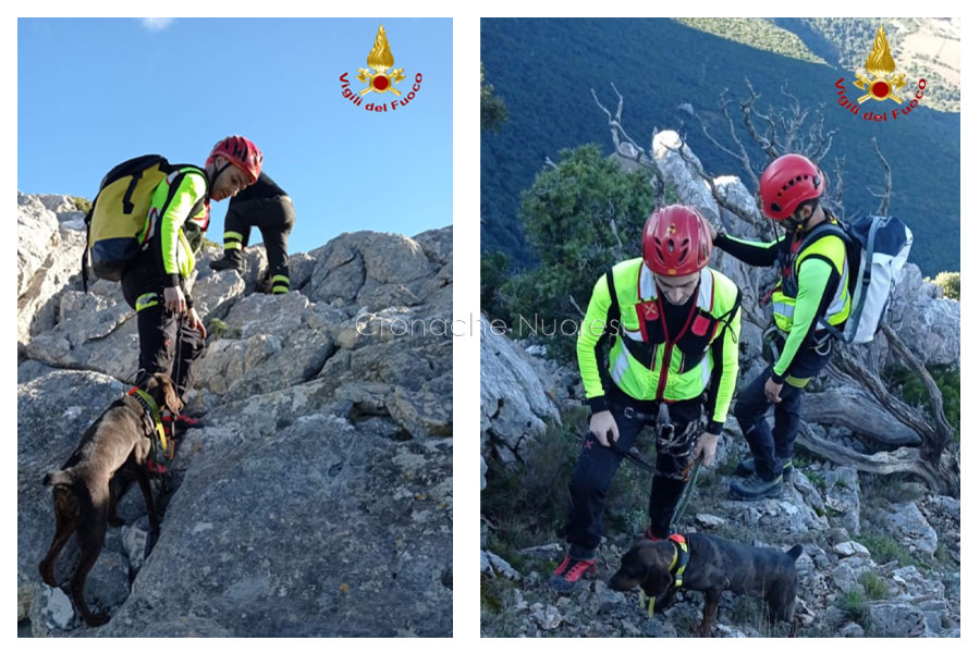 Segugio si perde sul Corrasi durante una battuta di caccia e viene tratto in salvo dai VVF – VIDEO
