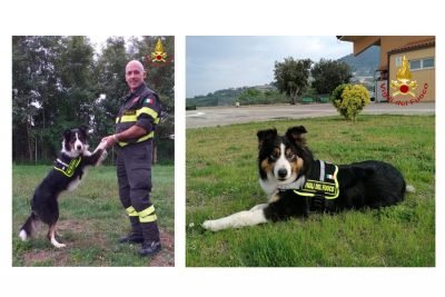 Kiro, l'unità cinofila dei Vigili del fuoco