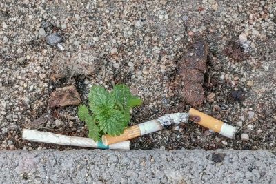 Nuoro. Deiezioni canine (foto Cronache Nuoresi)