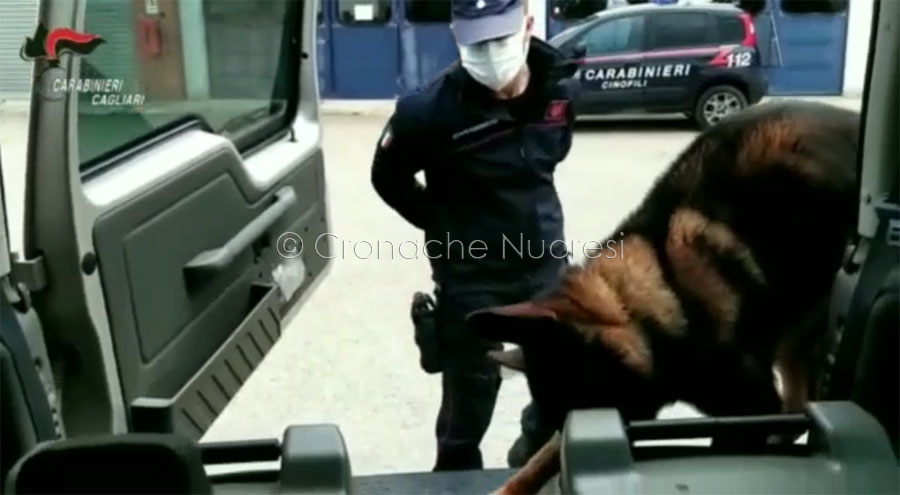 Maxi operazione antidroga. Smantellata banda leader nel mercato: uno squillo e riforniva di eroina e cocaina tutta l’isola – VIDEO