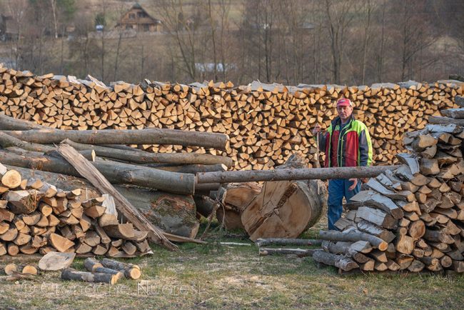 Slovenia, esterno di una segheria (foto S.Novellu)