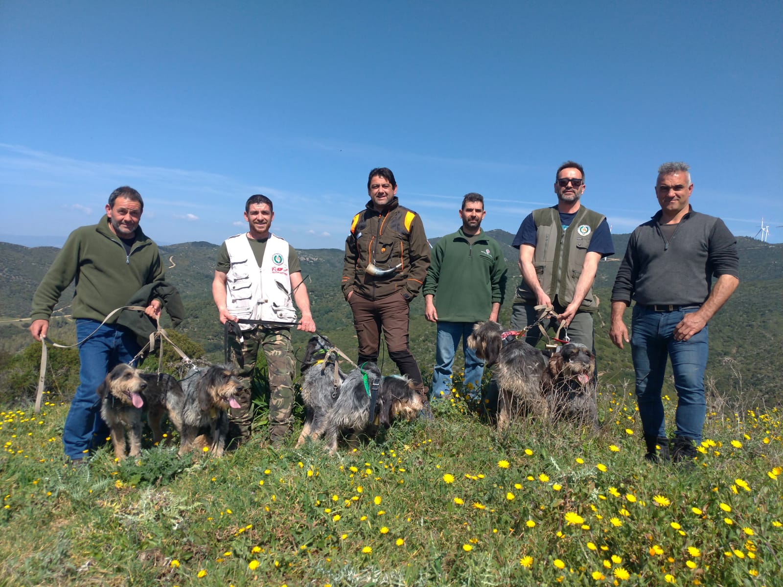 Competizione canina. Dopo due anni riparte Il campionato sardo su cinghiale