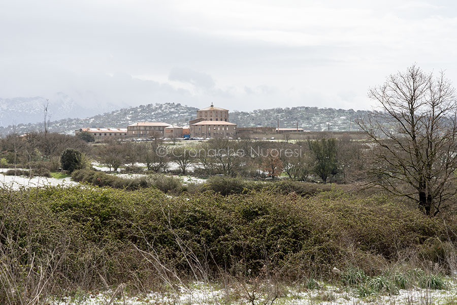 “Le carceri sarde non sono utili alla società”: l’appello al ministro Cartabia