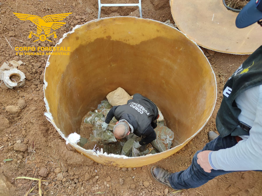 Il Corpo forestale sequestra oltre 300 chili di marijuana per un valore di un milione e 400mila euro