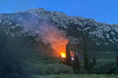 Dorgali. L'incendio a 