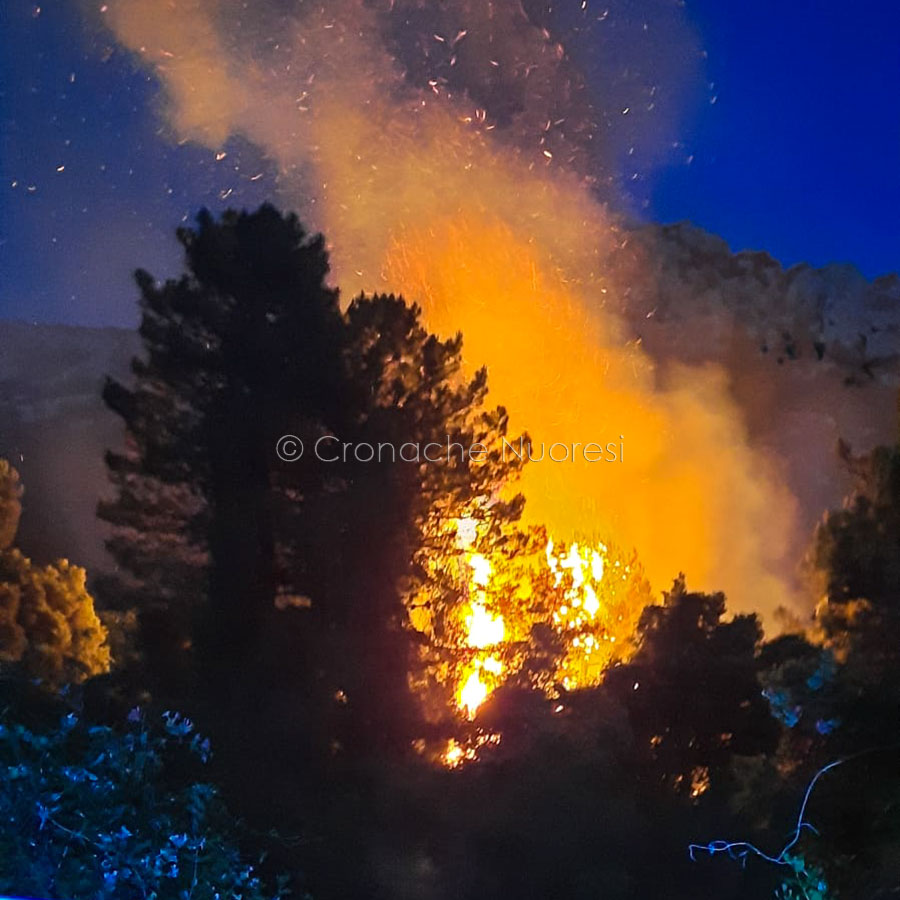 Primo incendio di stagione nel Nuorese: a Dorgali in fiamme un canalone a Su Babbu mannu
