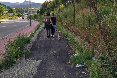 Nuoro, marciapiedi invasi dalle erbacce (foto S.Novellu)