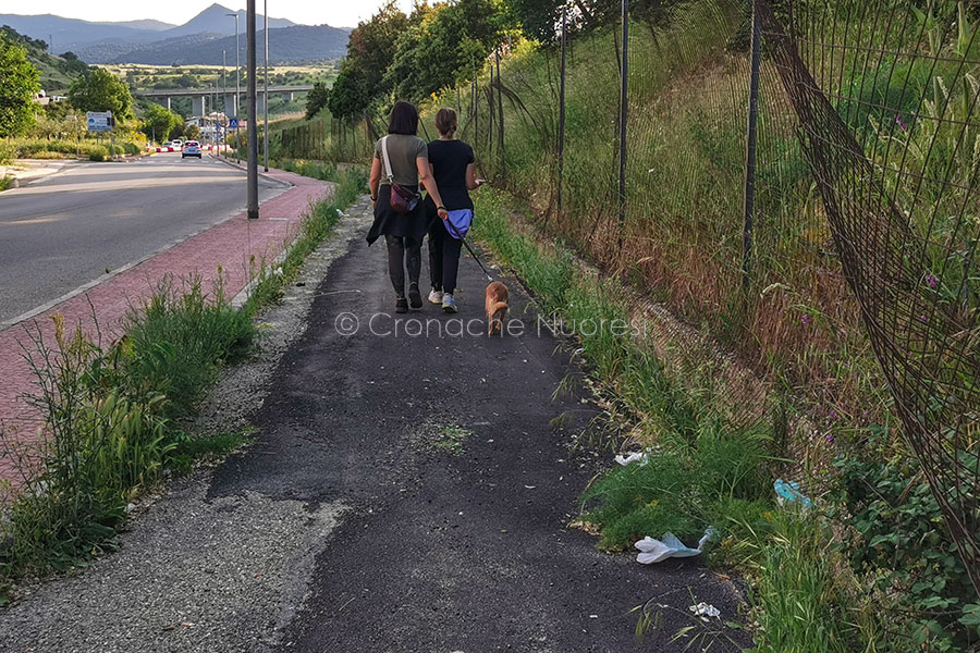 Nuoresi esasperati dall’erba troppo alta ma l’Assessore promette: “La settimana prossima inizierà lo sfalcio”