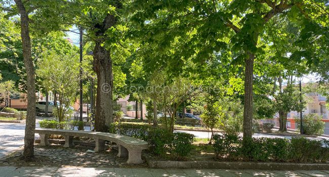 Nuoro, le aiuole davanti alla Cattedrale ripulito dalle erbacce