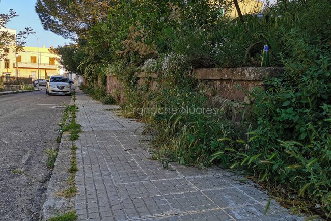 Nuoro, marciapiedi invasi dalle erbacce (foto S.Novellu)
