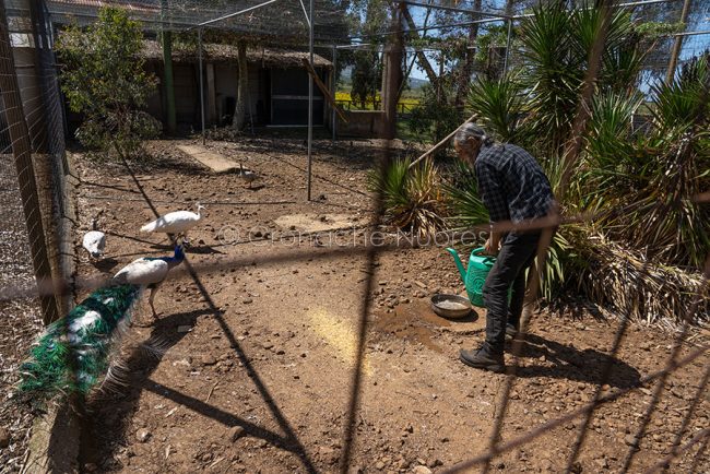 Scano Montiferro, il Parco degli uccelli (foto S.Novellu)