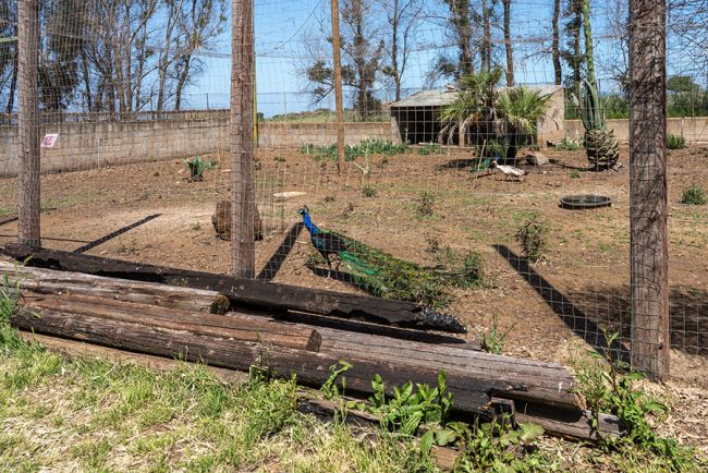 Scano Montiferro, il Parco degli uccelli (foto S.Novellu)