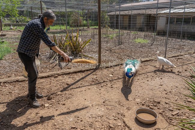 Scano Montiferro, il Parco degli uccelli (foto S.Novellu)