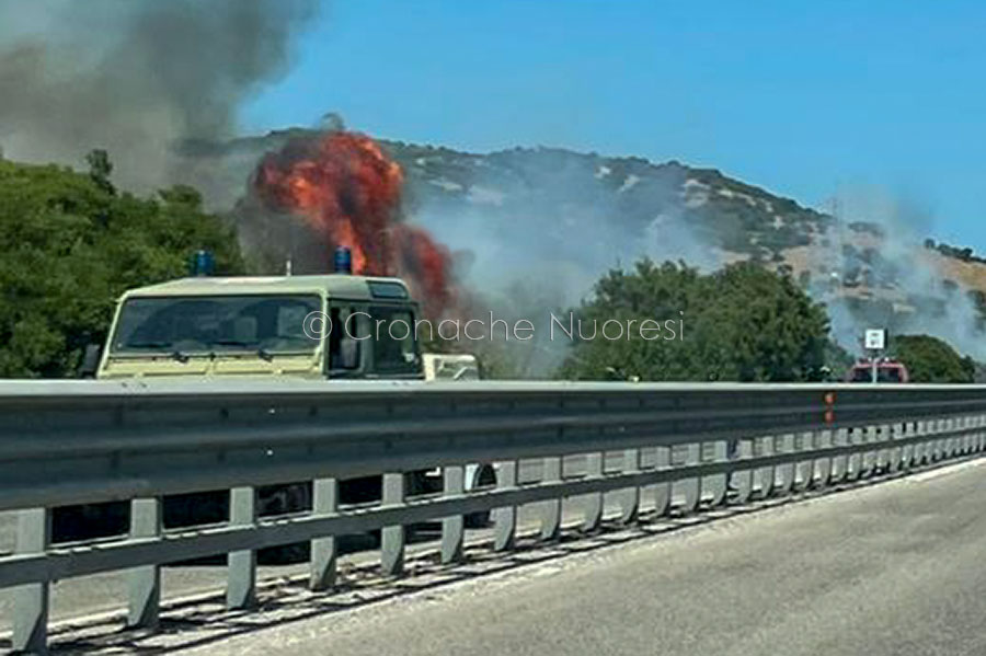Auto a fuoco durante la marcia, il conducente accosta e l’incendio si estende alla vegetazione: paura sulla 131DCN