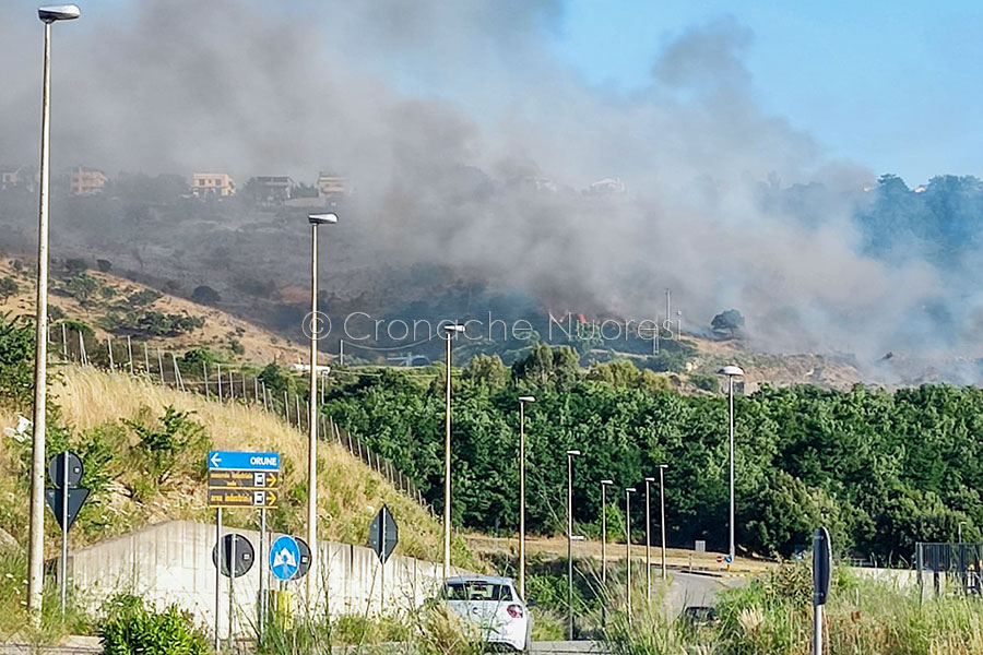 Nuoro. Incendio tra Città Giardino e Pratosardo: il fuoco lambisce le case