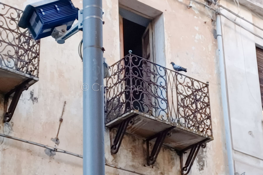 Stabile del Corso Garibaldi abbandonato al degrado: presenza di piccioni e pulci nonostante la segnalazione dei residenti
