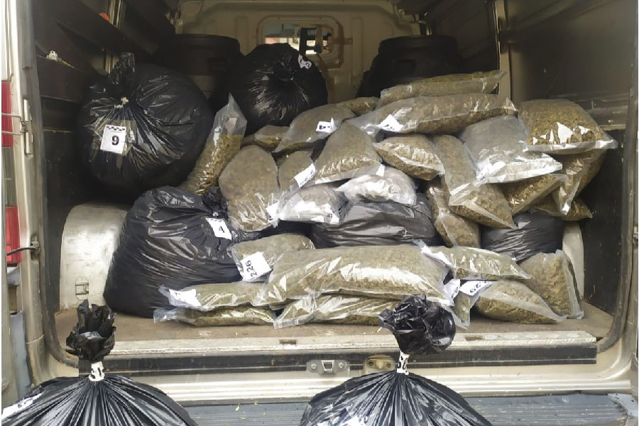 Operazioni antidroga a Nuoro: sequestrati oltre 134 chili di marijuana, scattano due arresti