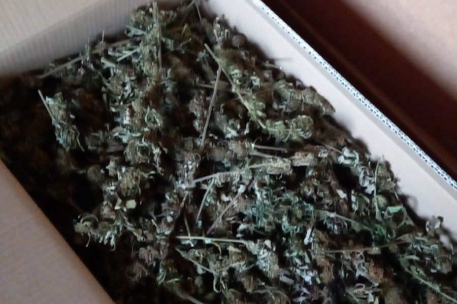 Bitti. Dallo stabile disabitato arriva un forte odore di marijuana: scattano le manette per due giovani