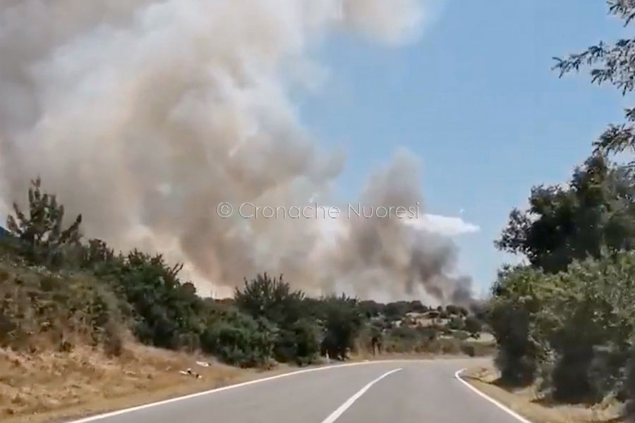 Incendio nelle campagne di Silanus: chiusa al traffico la Statale 129