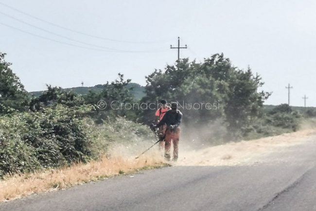 Operai al lavoro nel tratto di competenza della Provincia di Oristano (foto S.Novellu)