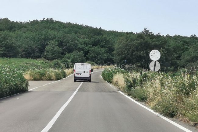 Provinciale 70, in Provincia di Nuoro (foto S.Novellu)