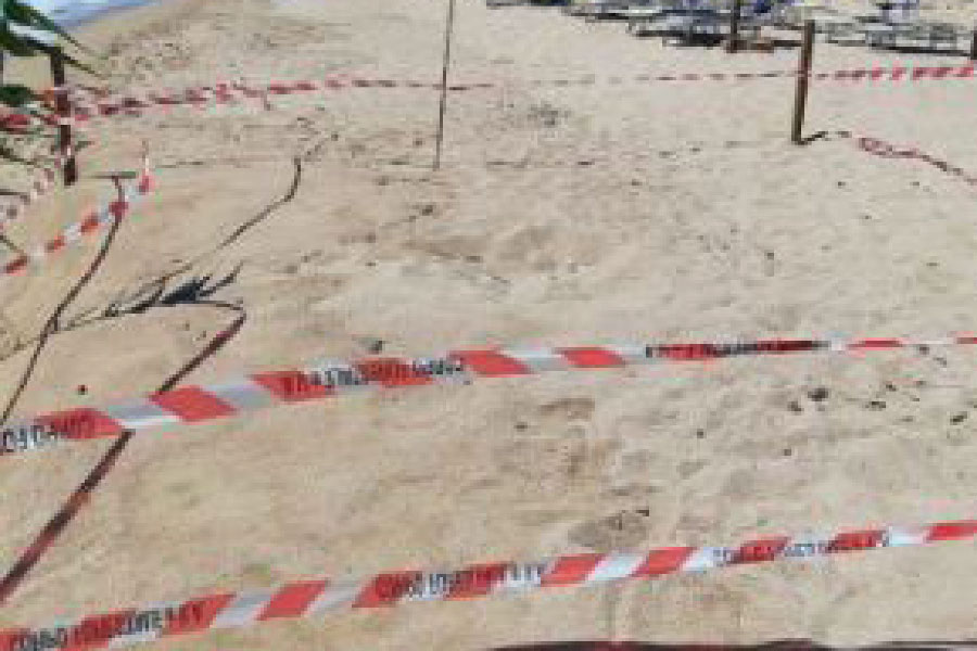 Tortolì. A sorpresa una caretta caretta depone le  uova in pieno giorno sotto gli occhi dei bagnanti