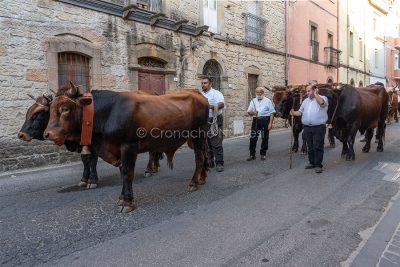 Scano Montiferro, Juos 2022-(foto S.Novellu)