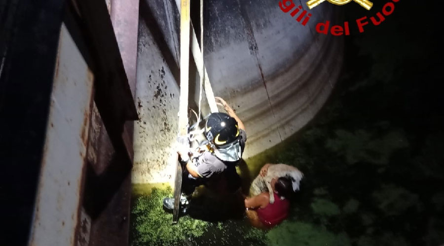 Cane e proprietaria finiscono in un vascone: salvati dai Vigili del Fuoco