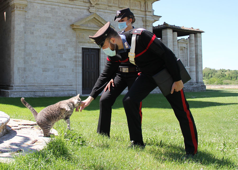 Sbatte ripetutamente il muso del gatto contro i bidoni della spazzatura per punirlo: 44enne denunciata