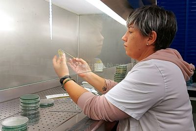Sassari, Accademia del Lievito Madre