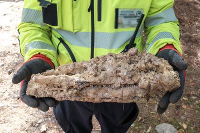 La stallattite recuperata all'Ortobene (foto S.Novellu)