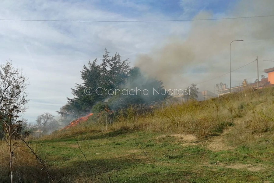 Nuoro. Paura in via Arbatax: il fuoco minaccia le case