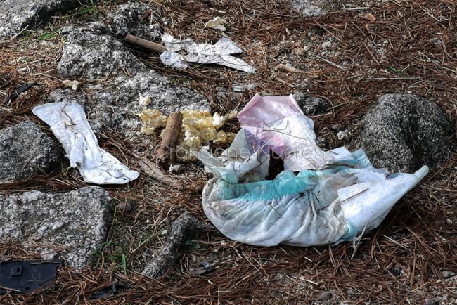 Rifiuti nella pineta di Tanca Manna